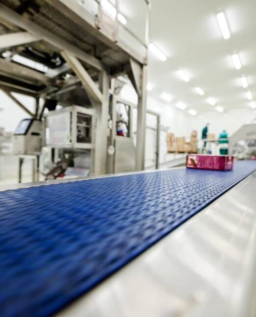 Food alimentare movin (2)